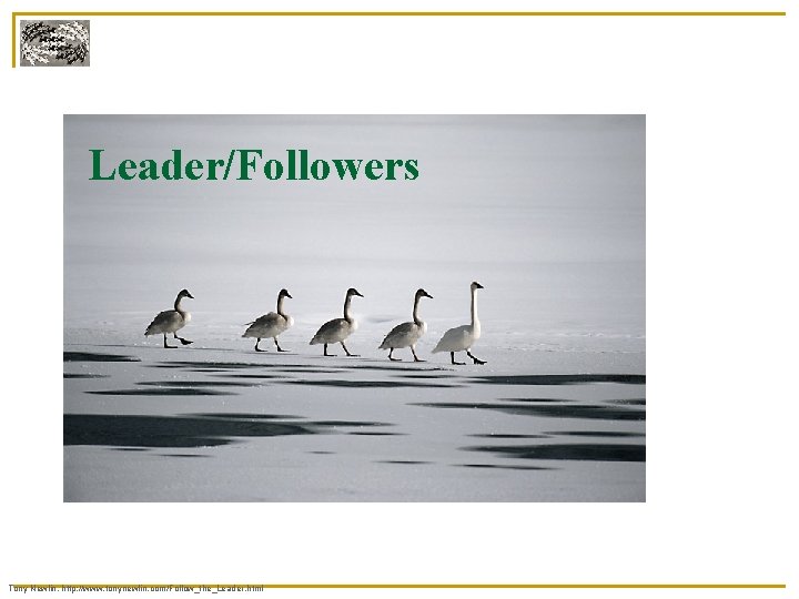 Leader/Followers Tony Newlin, http: //www. tonynewlin. com/Follow_the_Leader. html 