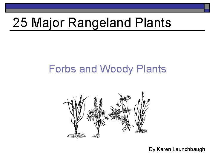 25 Major Rangeland Plants Forbs and Woody Plants By Karen Launchbaugh 