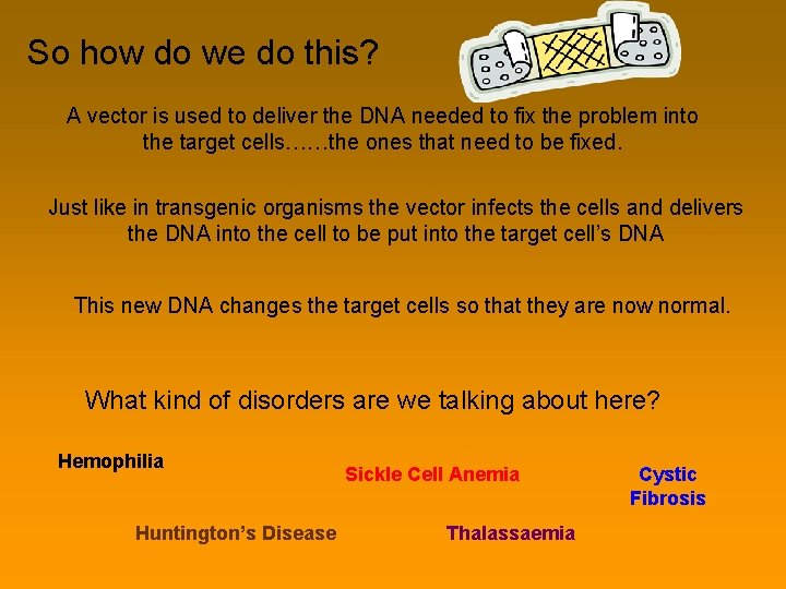 So how do we do this? A vector is used to deliver the DNA