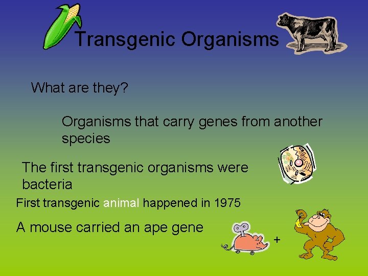 Transgenic Organisms What are they? Organisms that carry genes from another species The first