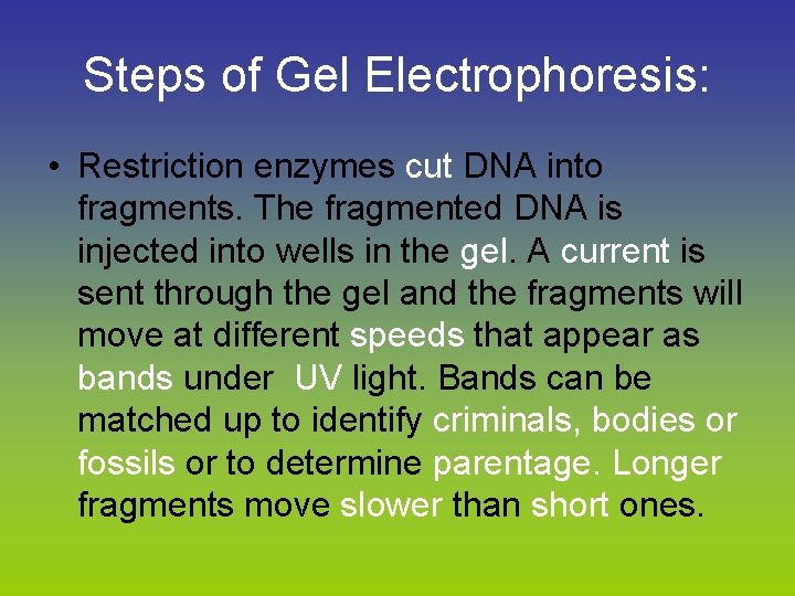 Steps of Gel Electrophoresis: • Restriction enzymes cut DNA into fragments. The fragmented DNA