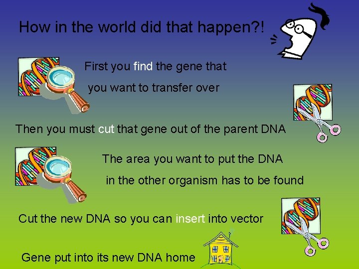 How in the world did that happen? ! First you find the gene that