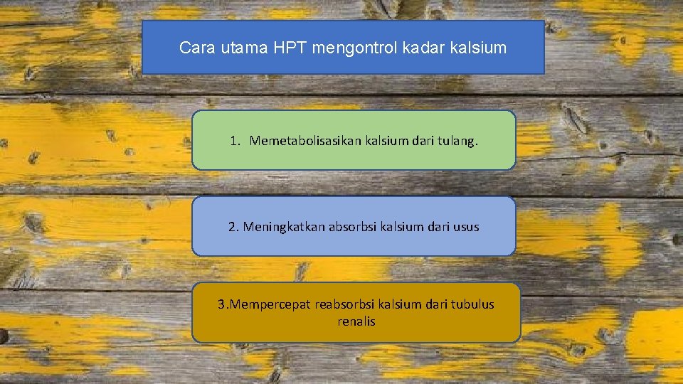 Cara utama HPT mengontrol kadar kalsium 1. Memetabolisasikan kalsium dari tulang. 2. Meningkatkan absorbsi