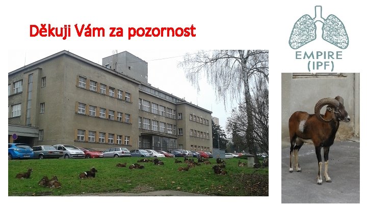 Děkuji Vám za pozornost 