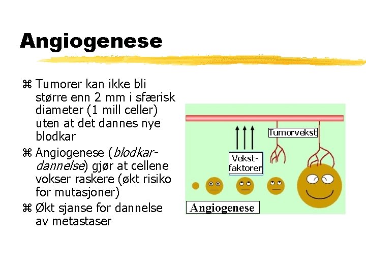 Angiogenese z Tumorer kan ikke bli større enn 2 mm i sfærisk diameter (1