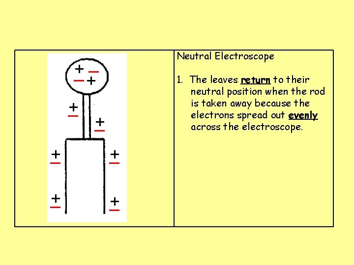 Neutral Electroscope _ + + _ 1. The leaves return to their neutral position