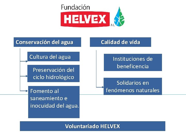 Conservación del agua Cultura del agua Preservación del ciclo hidrológico Fomento al saneamiento e