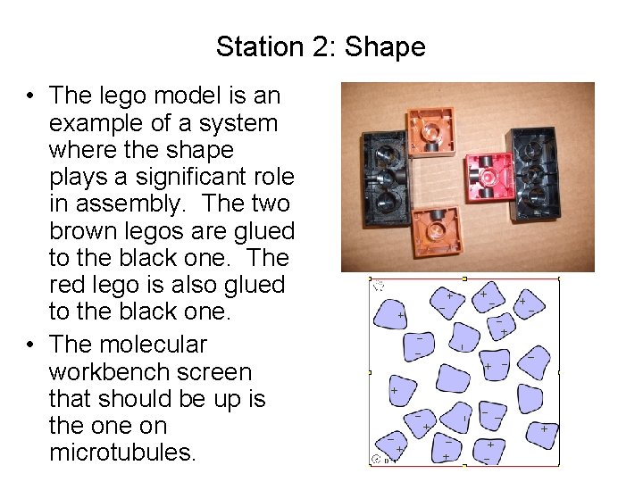 Station 2: Shape • The lego model is an example of a system where