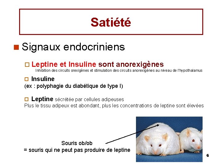 Satiété n Signaux ¨ Leptine endocriniens et Insuline sont anorexigènes Inhibition des circuits orexigènes