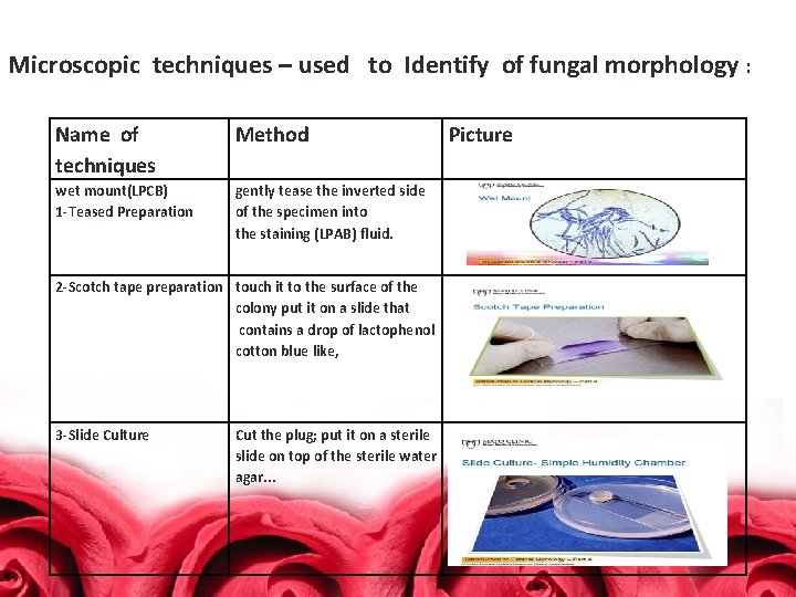 Microscopic techniques – used to Identify of fungal morphology : Name of techniques Method