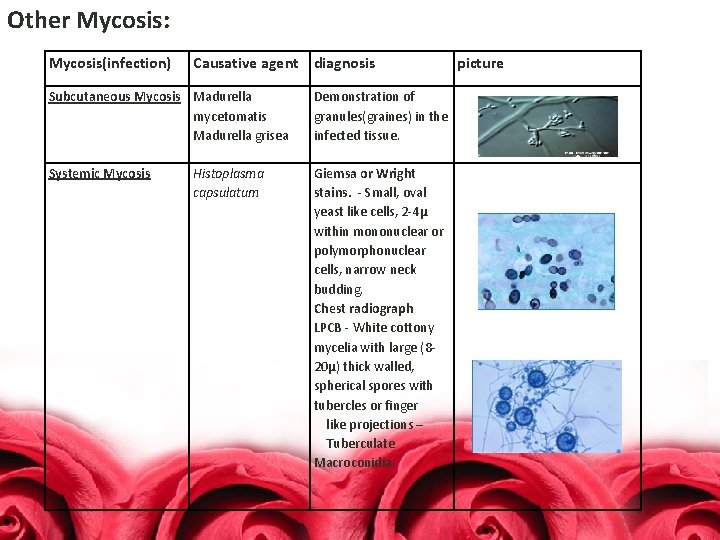 Other Mycosis: Mycosis(infection) Causative agent diagnosis Subcutaneous Mycosis Madurella mycetomatis Madurella grisea Demonstration of