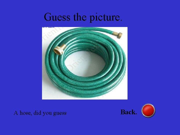 Guess the picture. A hose, did you guess Back. 