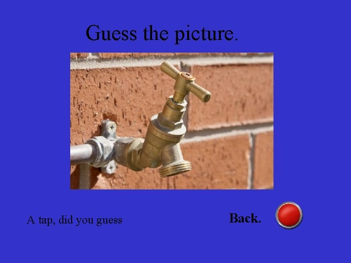 Guess the picture. A tap, did you guess Back. 