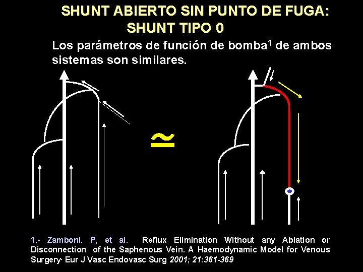 SHUNT ABIERTO SIN PUNTO DE FUGA: SHUNT TIPO 0 Los parámetros de función de