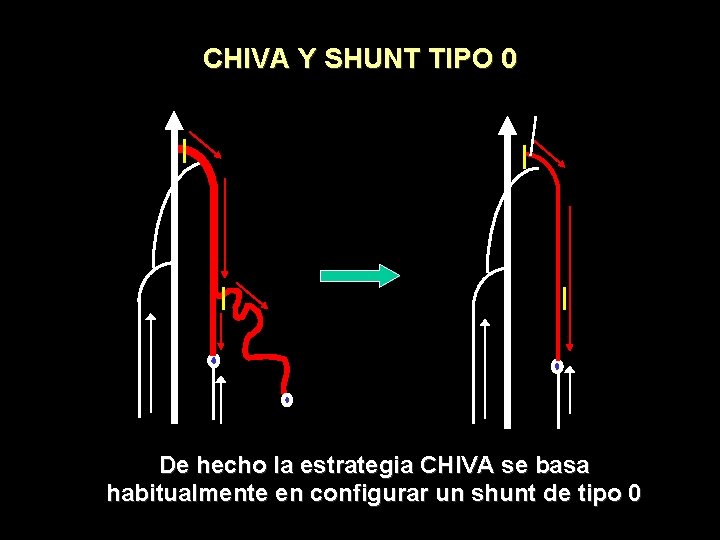 CHIVA Y SHUNT TIPO 0 De hecho la estrategia CHIVA se basa habitualmente en