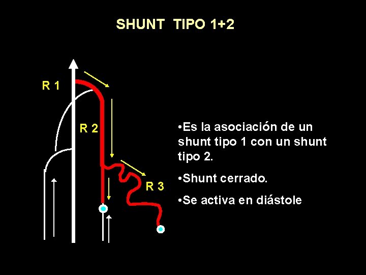 SHUNT TIPO 1+2 R 1 • Es la asociación de un shunt tipo 1
