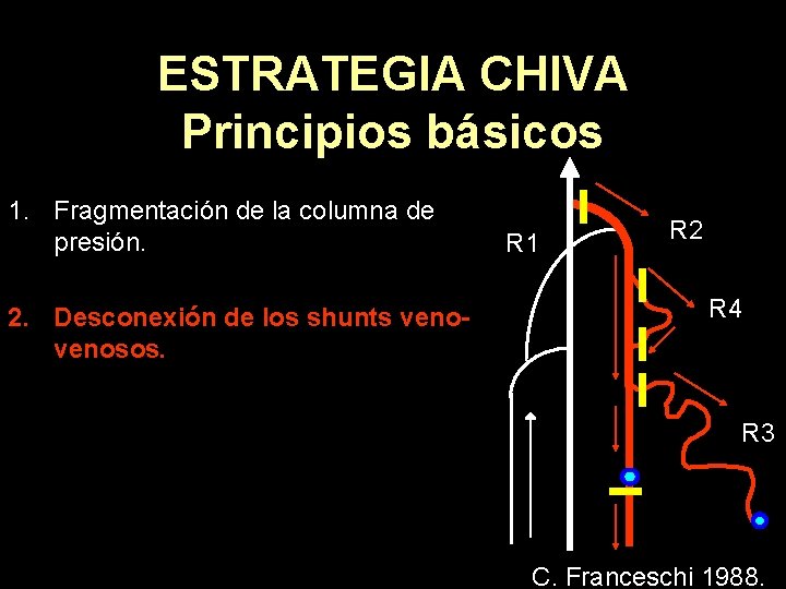 ESTRATEGIA CHIVA Principios básicos 1. Fragmentación de la columna de presión. 2. Desconexión de