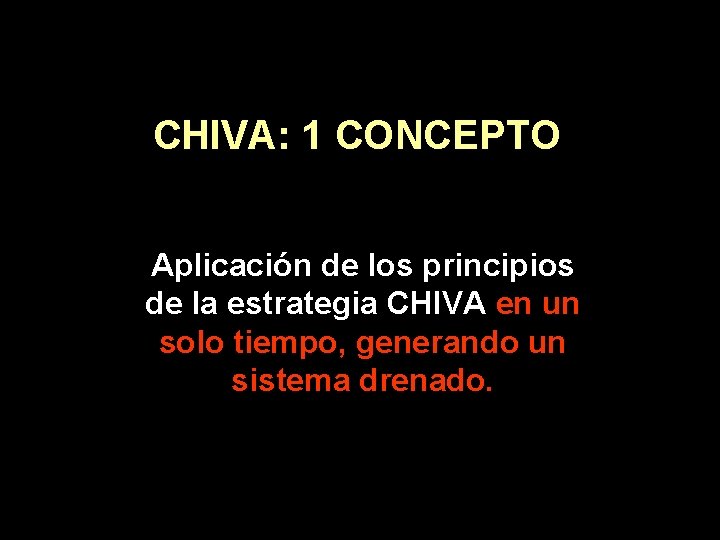 CHIVA: 1 CONCEPTO Aplicación de los principios de la estrategia CHIVA en un solo