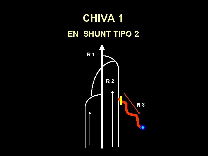 CHIVA 1 EN SHUNT TIPO 2 R 1 R 2 R 3 