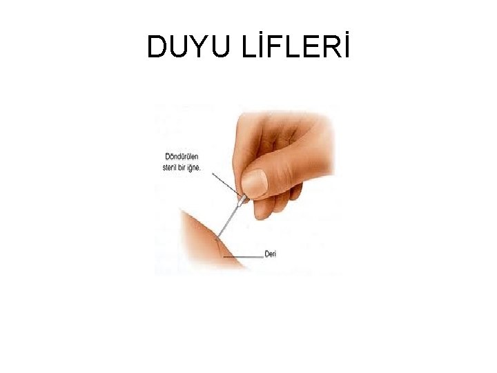 DUYU LİFLERİ 