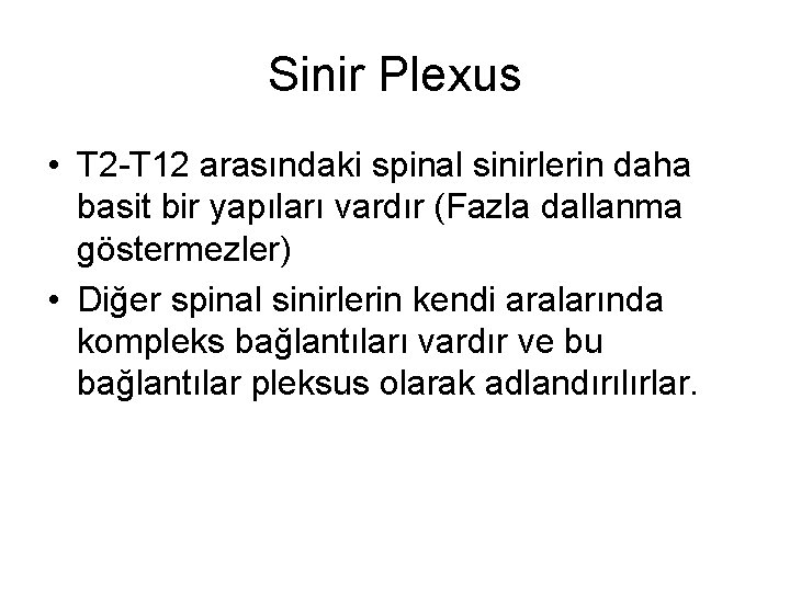 Sinir Plexus • T 2 -T 12 arasındaki spinal sinirlerin daha basit bir yapıları