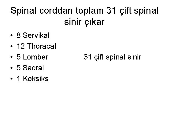 Spinal corddan toplam 31 çift spinal sinir çıkar • • • 8 Servikal 12