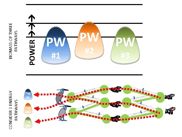CONSIDER 3 ENERGY PATHWAYS POWER BIOMASS OF THREE PATHWAYS 