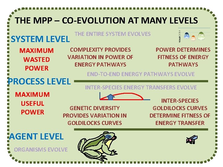 THE MPP – CO-EVOLUTION AT MANY LEVELS SYSTEM LEVEL MAXIMUM WASTED POWER COMPLEXITY PROVIDES