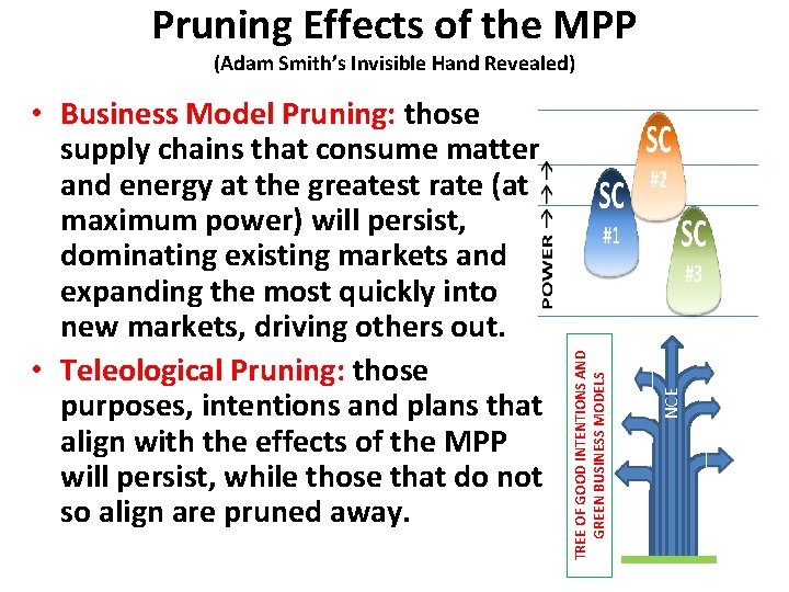 Pruning Effects of the MPP NCE • Business Model Pruning: those supply chains that