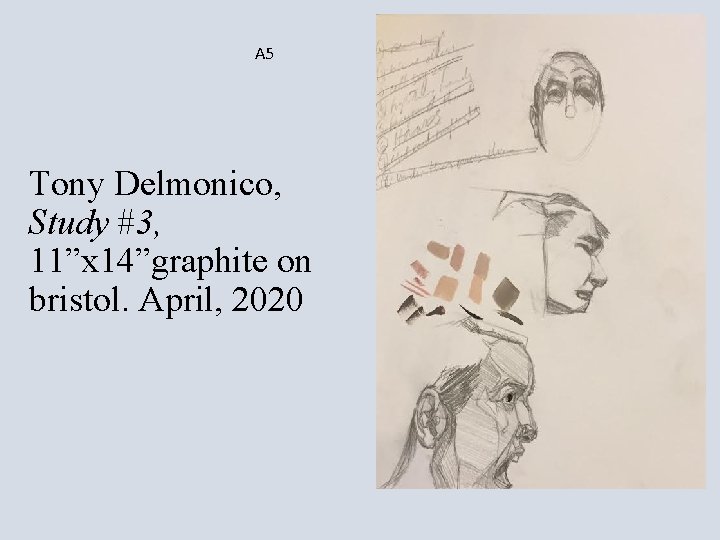 A 5 Tony Delmonico, Study #3, 11”x 14”graphite on bristol. April, 2020 