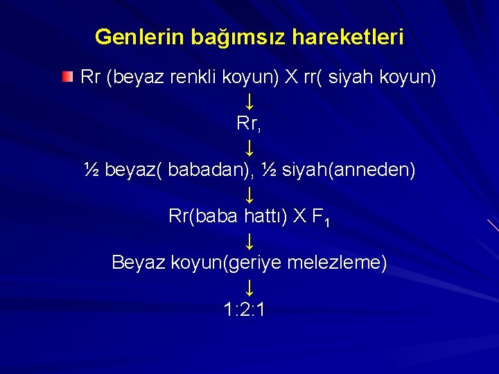 Genlerin bağımsız hareketleri Rr (beyaz renkli koyun) X rr( siyah koyun) ↓ Rr, ↓