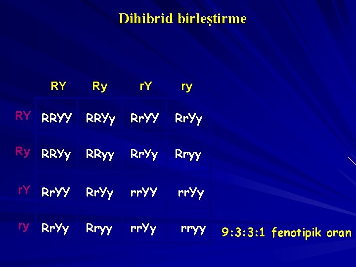 Dihibrid birleştirme RY Ry r. Y ry RY RRYy Rr. YY Rr. Yy Ry