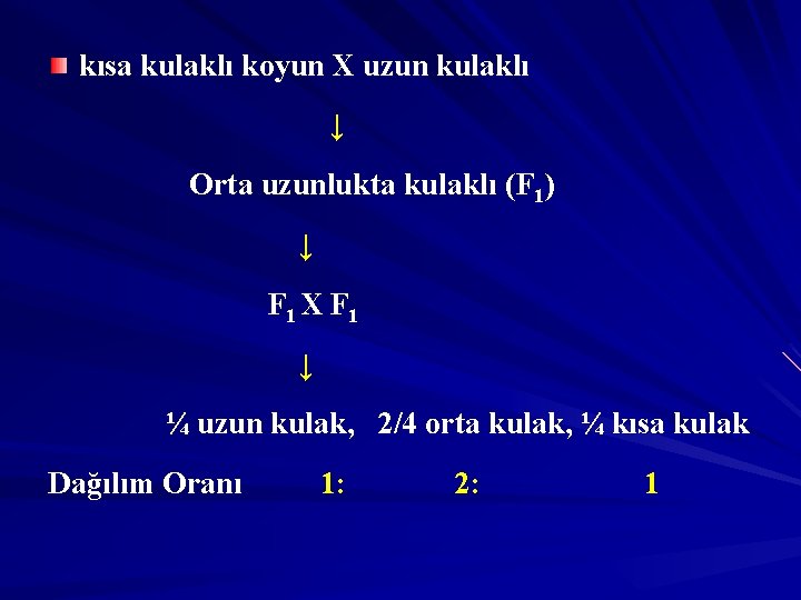 kısa kulaklı koyun X uzun kulaklı ↓ Orta uzunlukta kulaklı (F 1) ↓ F