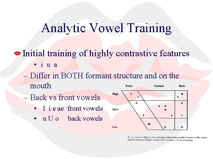 Analytic Vowel Training Initial training of highly contrastive features • i u a –