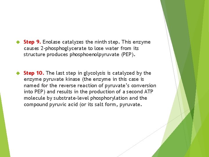  Step 9. Enolase catalyzes the ninth step. This enzyme causes 2 -phosphoglycerate to