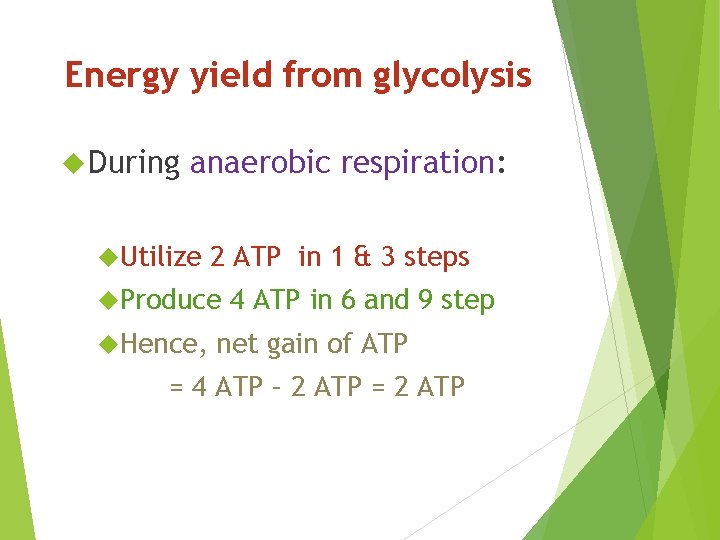 Energy yield from glycolysis During anaerobic respiration: Utilize 2 ATP in 1 & 3