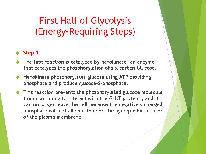 First Half of Glycolysis (Energy-Requiring Steps) Step 1. The first reaction is catalyzed by