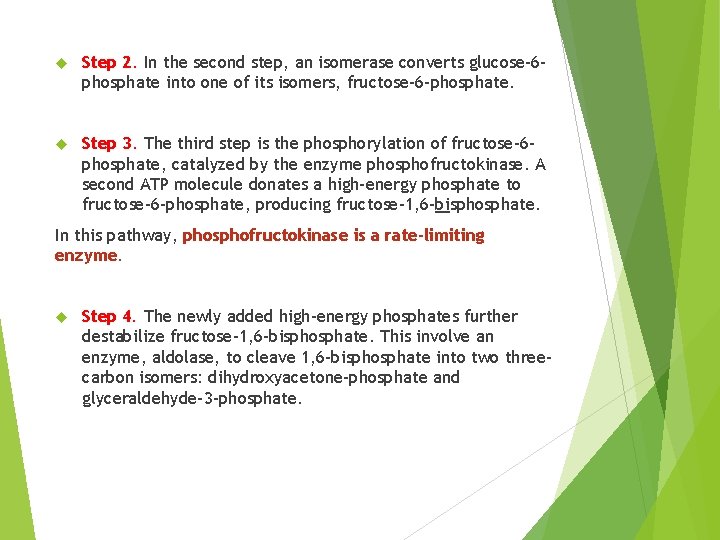  Step 2. In the second step, an isomerase converts glucose-6 phosphate into one