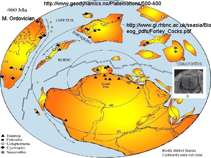 http: //www. geodynamics. no/Platemotions/500 -400 M. Ordovician http: //www. gl. rhbnc. ac. uk/seasia/Bio eog_pdfs/Fortey_Cocks.