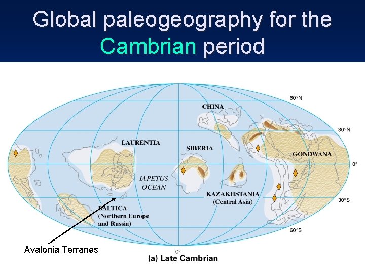 Global paleogeography for the Cambrian period Avalonia Terranes 