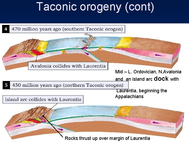 Taconic orogeny (cont) Mid – L. Ordovician, N. Avalonia and an island arc dock