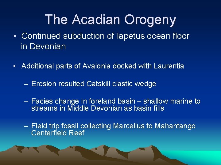 The Acadian Orogeny • Continued subduction of Iapetus ocean floor in Devonian • Additional