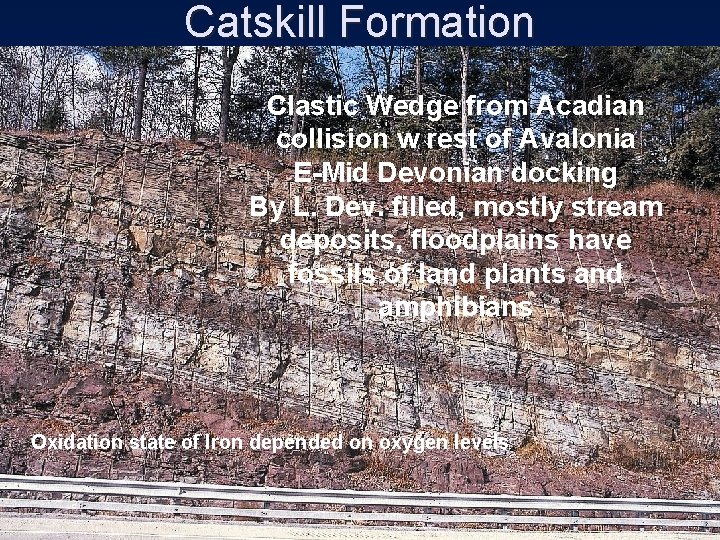 Catskill Formation Clastic Wedge from Acadian collision w rest of Avalonia E-Mid Devonian docking