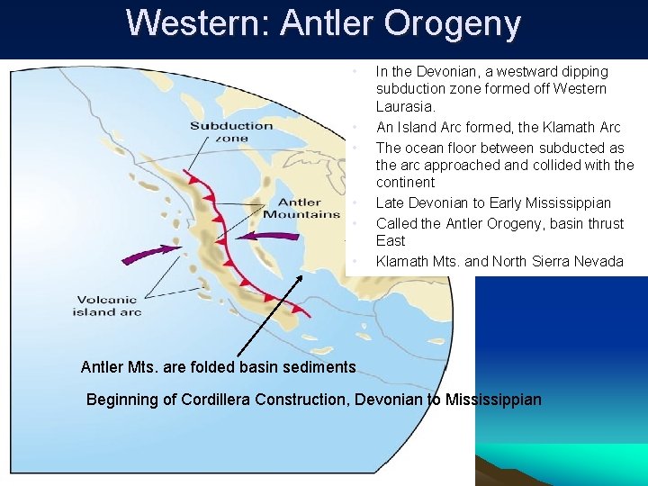 Western: Antler Orogeny • • • In the Devonian, a westward dipping subduction zone