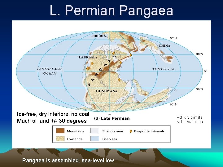 L. Permian Pangaea Ice-free, dry interiors, no coal Much of land +/- 30 degrees