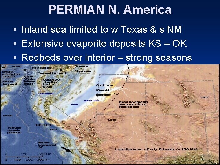 PERMIAN N. America • Inland sea limited to w Texas & s NM •