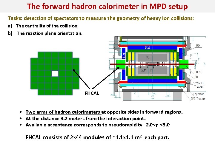 The forward hadron calorimeter in MPD setup Tasks: detection of spectators to measure the