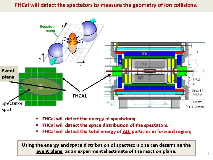 FHCal will detect the spectators to measure the geometry of ion collisions. Event plane