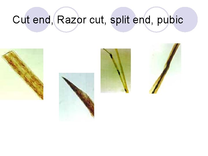 Cut end, Razor cut, split end, pubic 