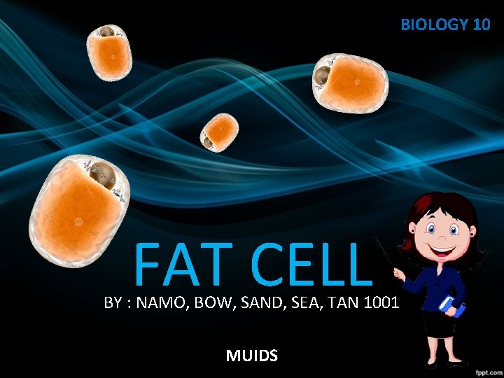 BIOLOGY 10 FAT CELL BY : NAMO, BOW, SAND, SEA, TAN 1001 MUIDS 